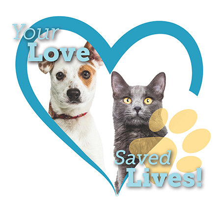Impact Reports - Financials — Friends of Pima Animal Care Center Impact Reports - Financials — Friends of Pima Animal Care Center