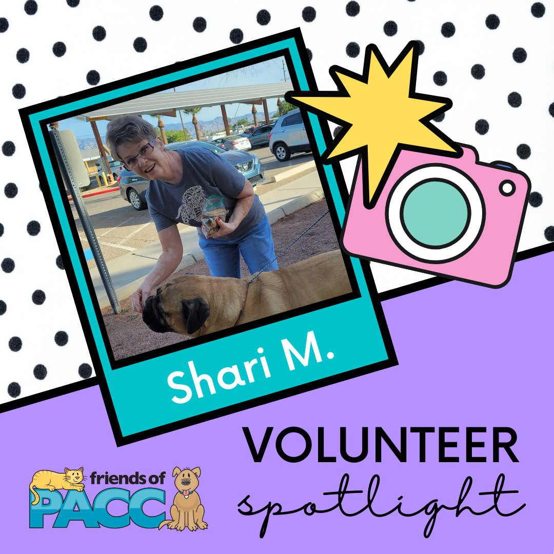 Volunteer Spotlight: Shari M.