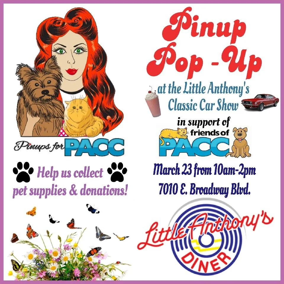 Pinup Pop-Up