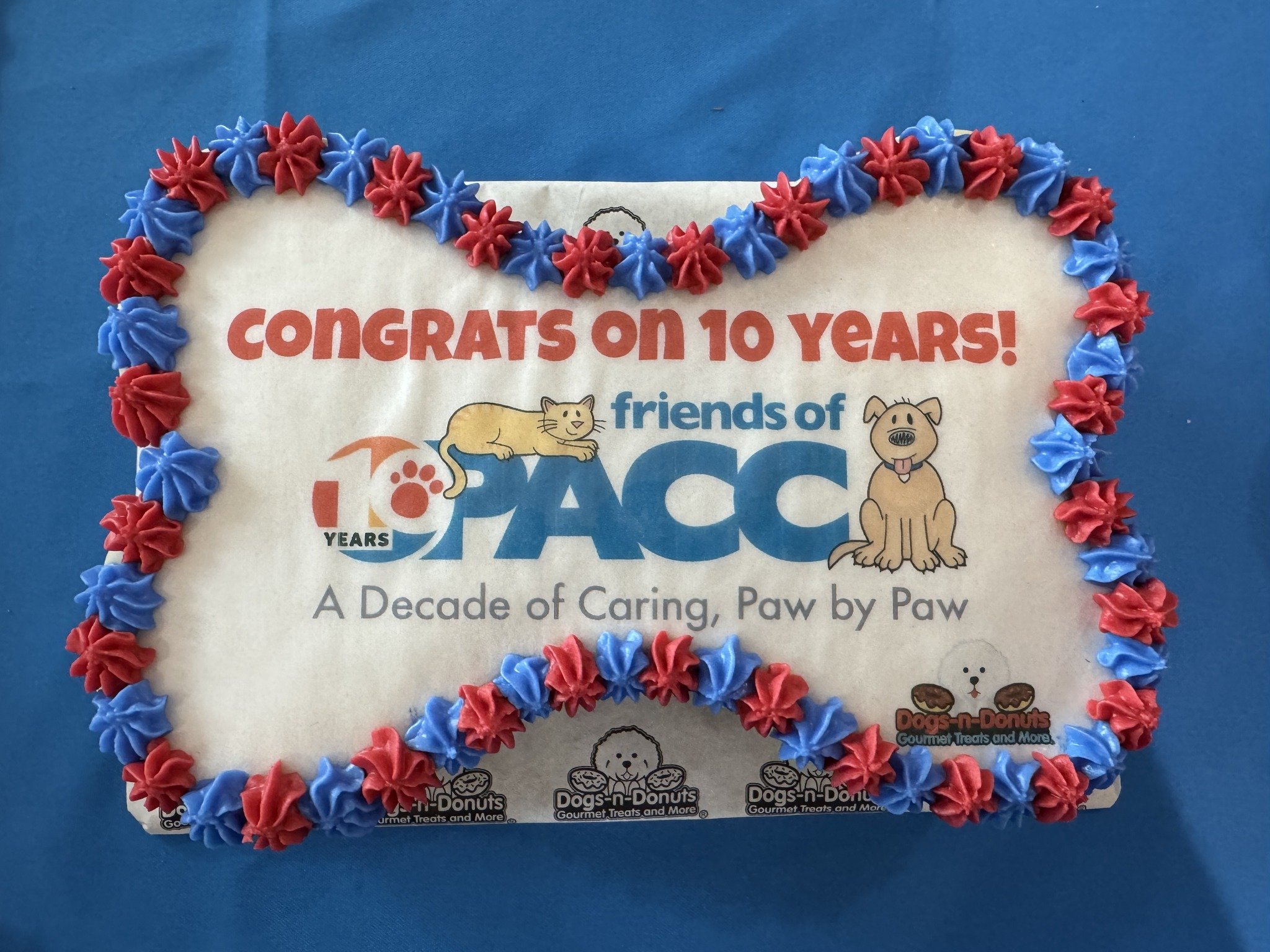 Celebrating 10 Years of Compassion: A Decade of Caring, Paw by Paw