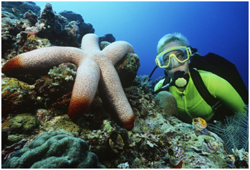 Belize reef.png