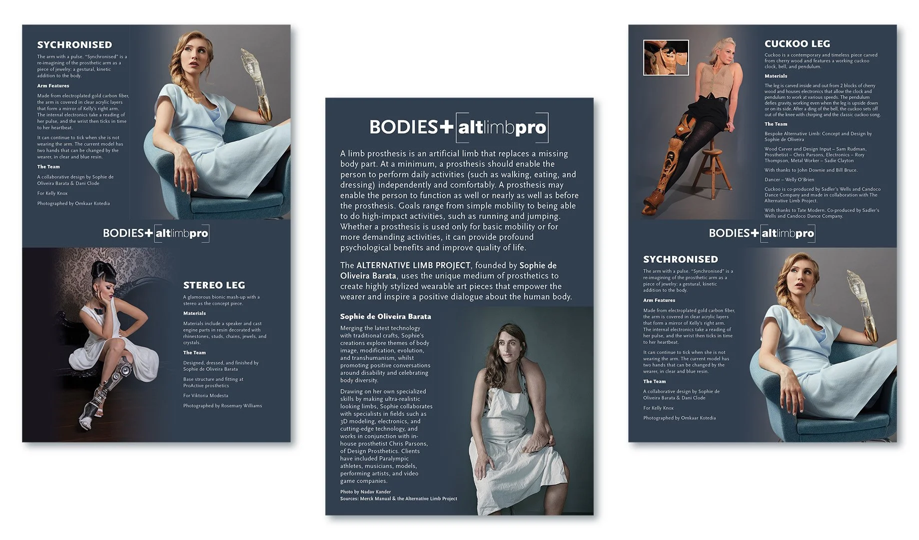 Bodies ALP Didactics.jpg