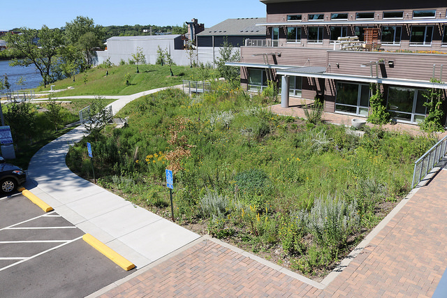 Raingarden, Mississippi River Watershed Management Organization Stormwater Park and Learning Center