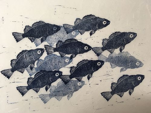 The Sea is Rising: Reflections on the state of California Kelp Forests — Little Giant Collective The Sea is Rising: Reflections on the state of California Kelp Forests — Little Giant Collective