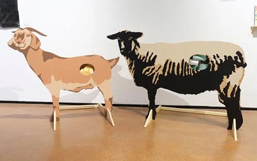 forage analysis_sesnon - Rachel Syka.jpg