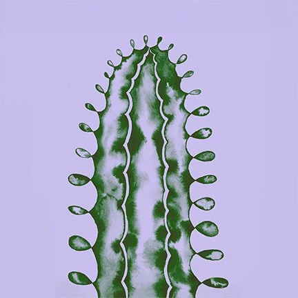 cactus - Shannon McGill copy.jpg