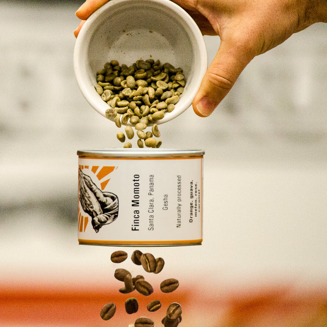 Finca Momoto Gesha - A coffee that nearly broke the roaster
