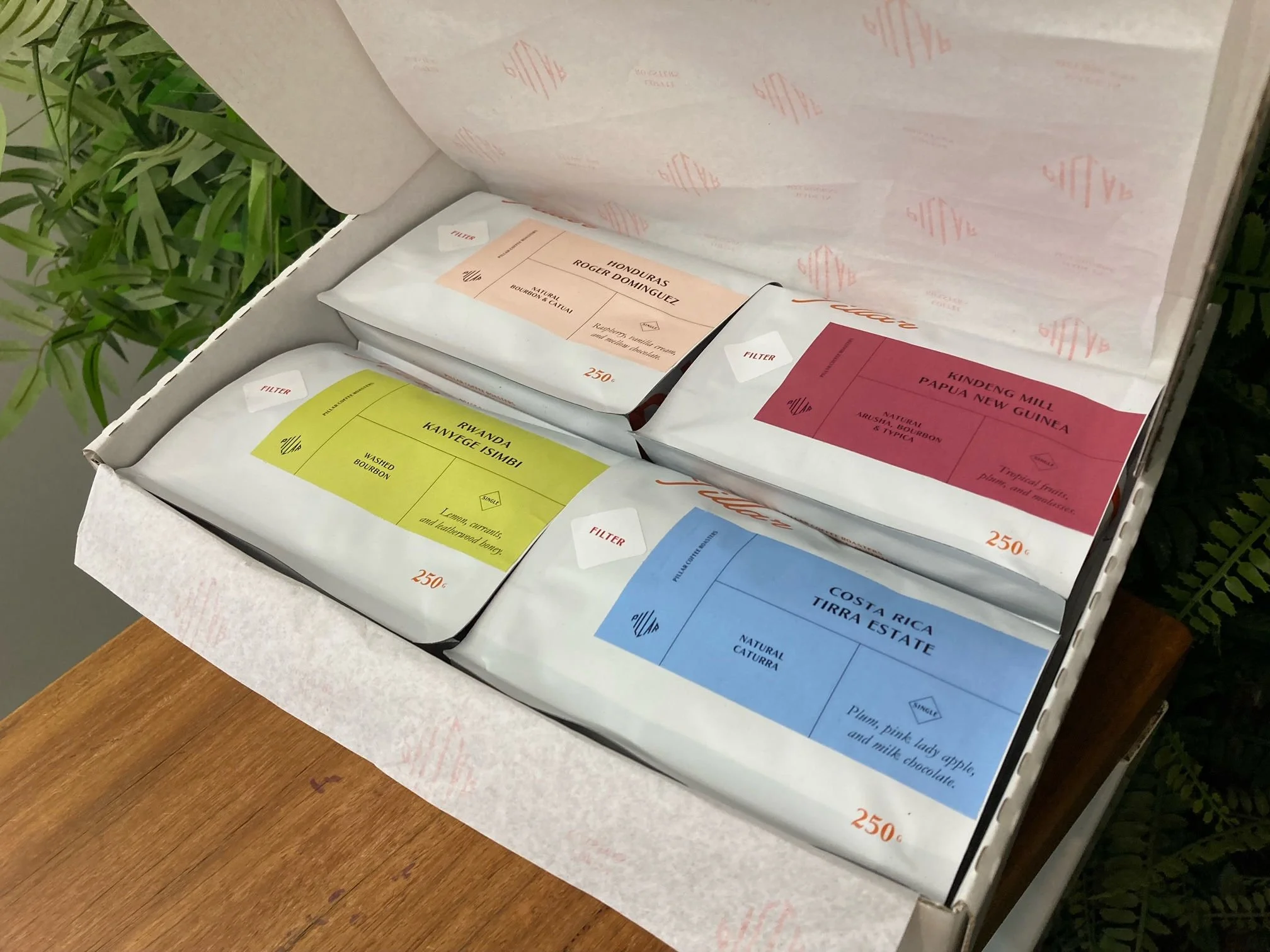 open filter gift.jpeg