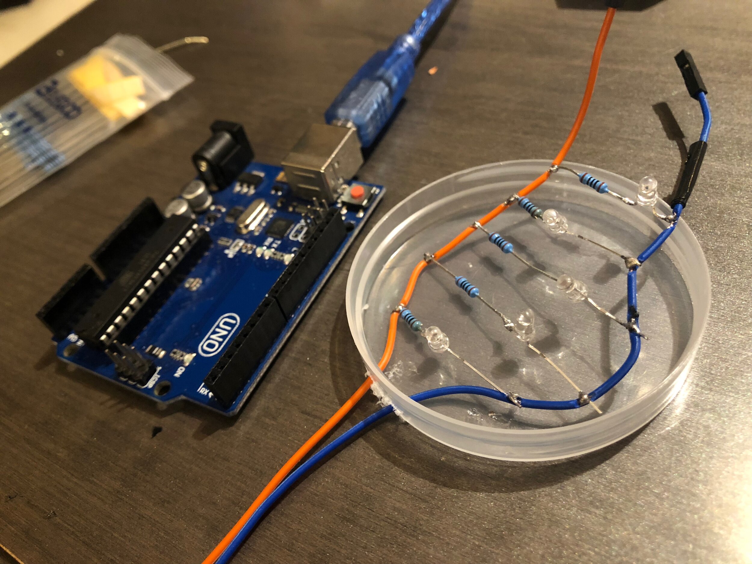 Experiments — Joanna Shen