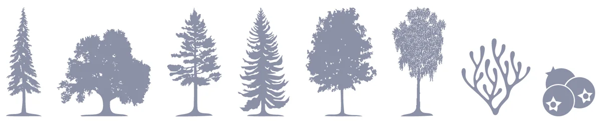 Nordora_Icons.jpg