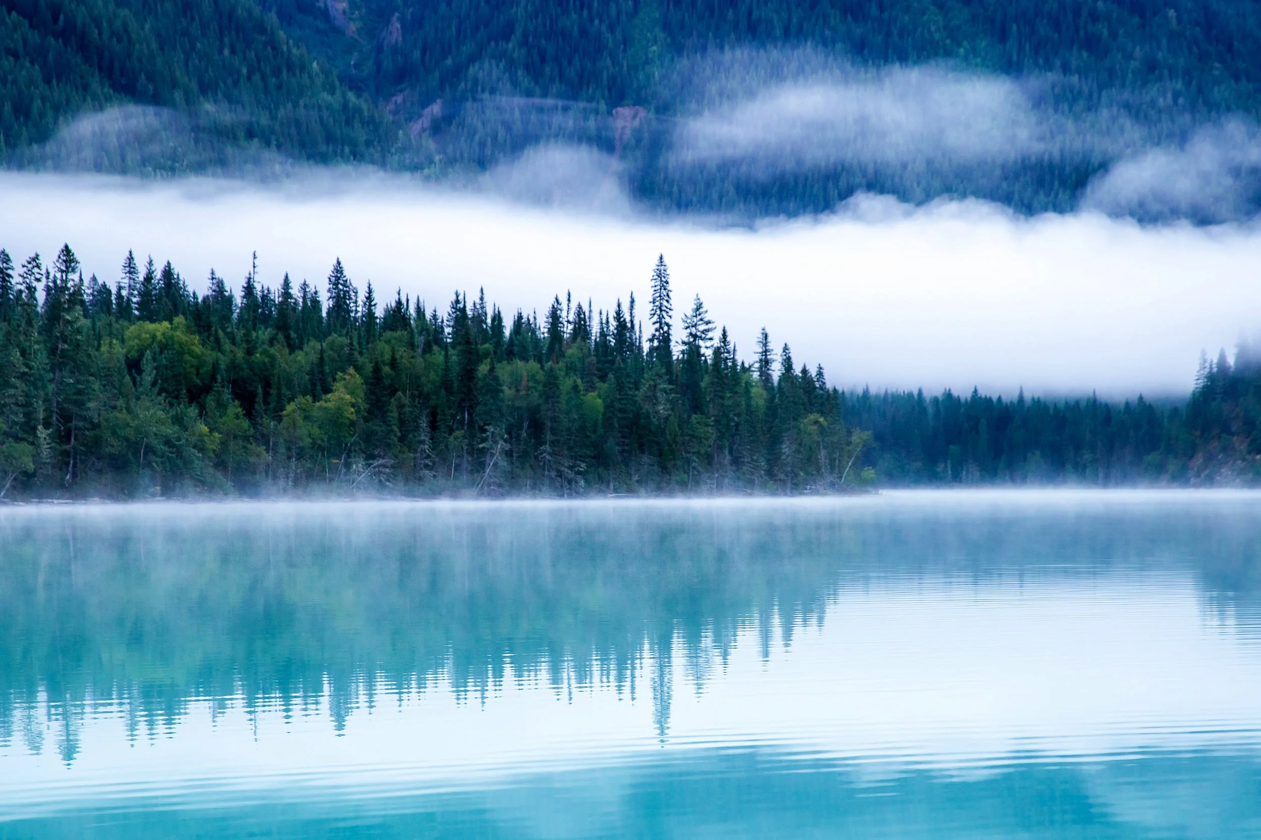 THE RICHNESS OF CANADIAN NATURE