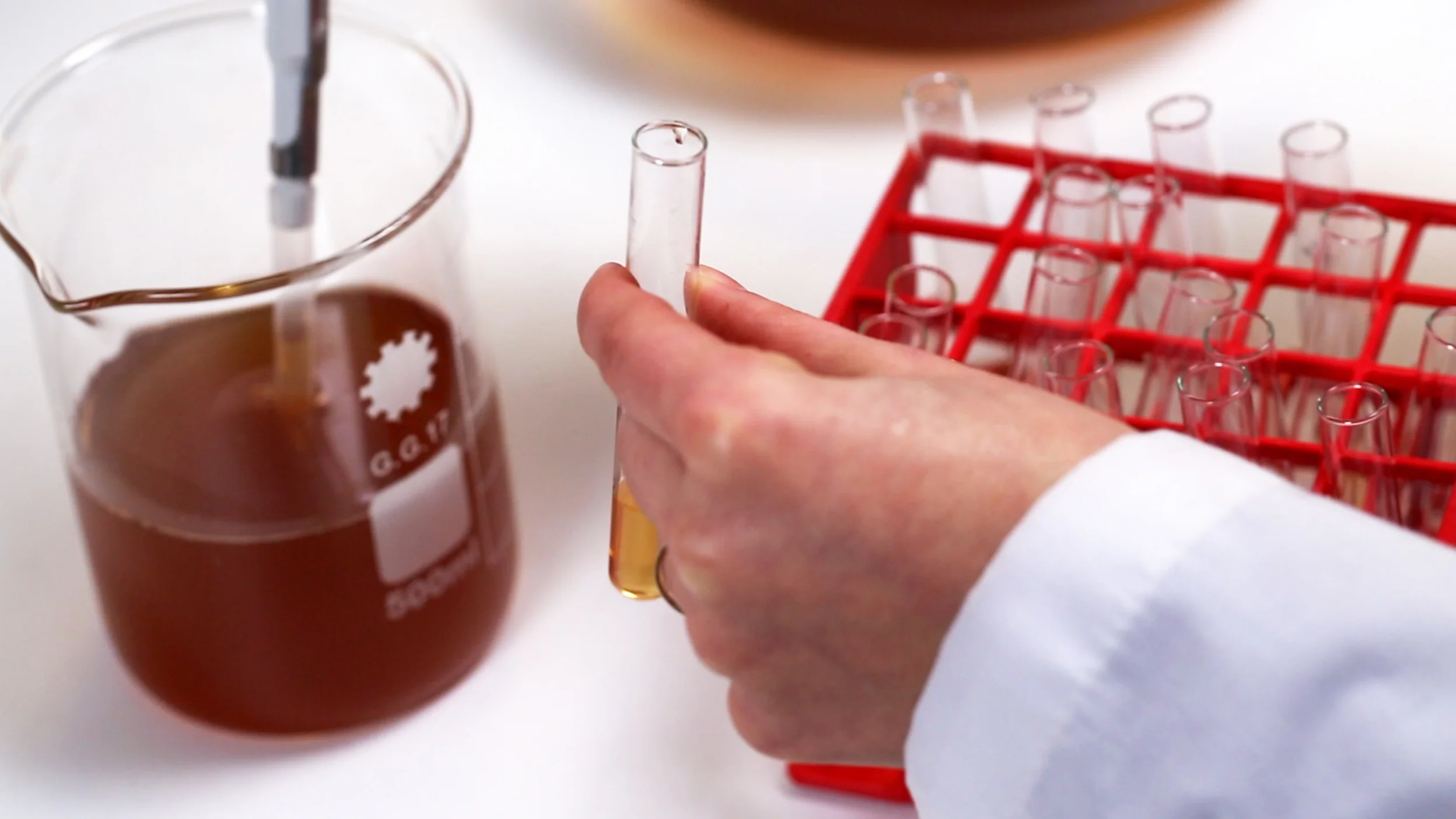 Nordora_Laboratory_2.jpg
