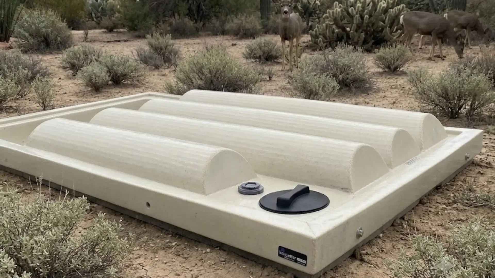 Drinker Trough.webp