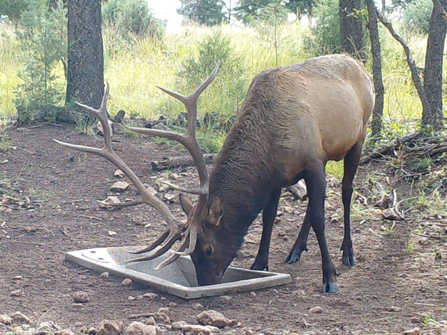 SP-Mescalero-110.jpg