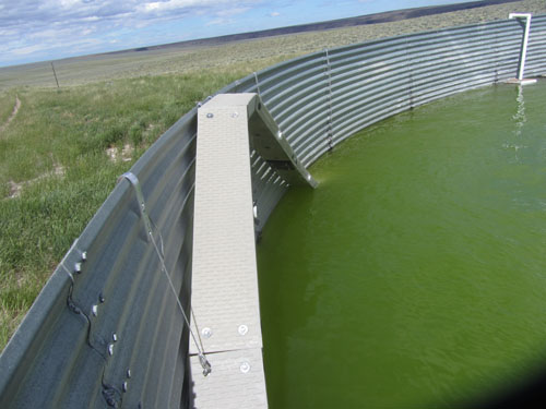 Deep Tank Escape Ramp BLM Cat Creek Idaho