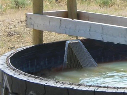 Wildlife Escape Ramp in Tire Trough