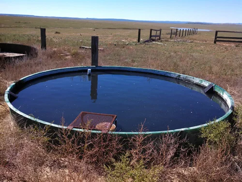 Two Wildlife Escape Ramps In Round Trough