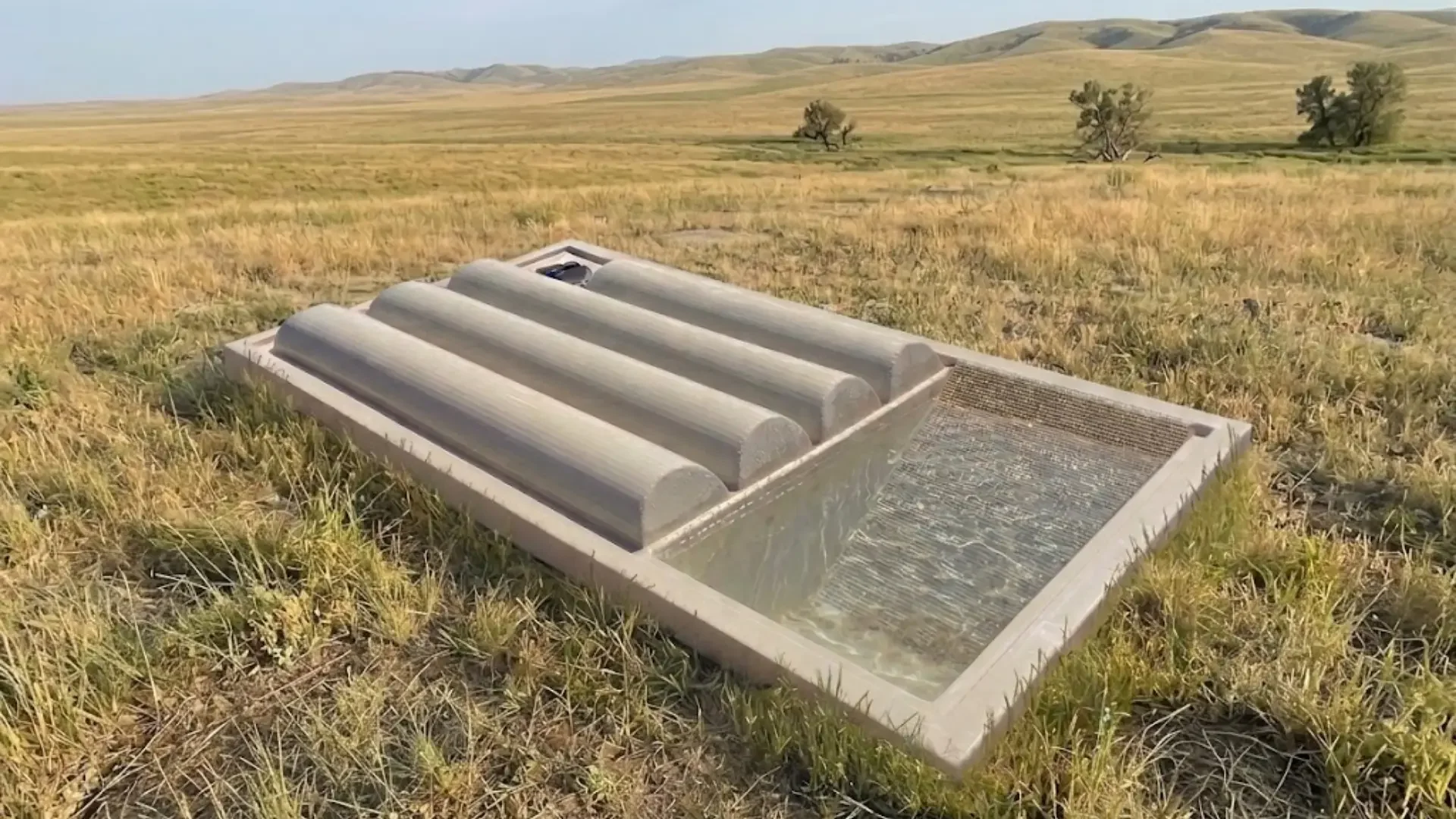 Water for Wildlife.webp
