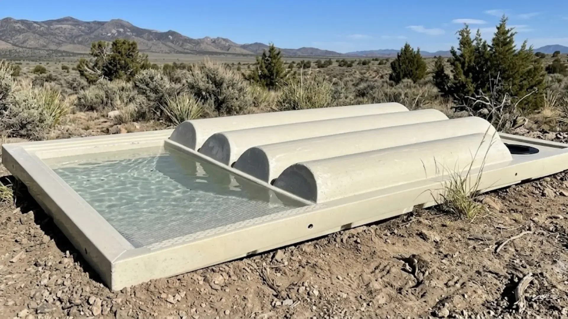 Wildlife Trough.webp
