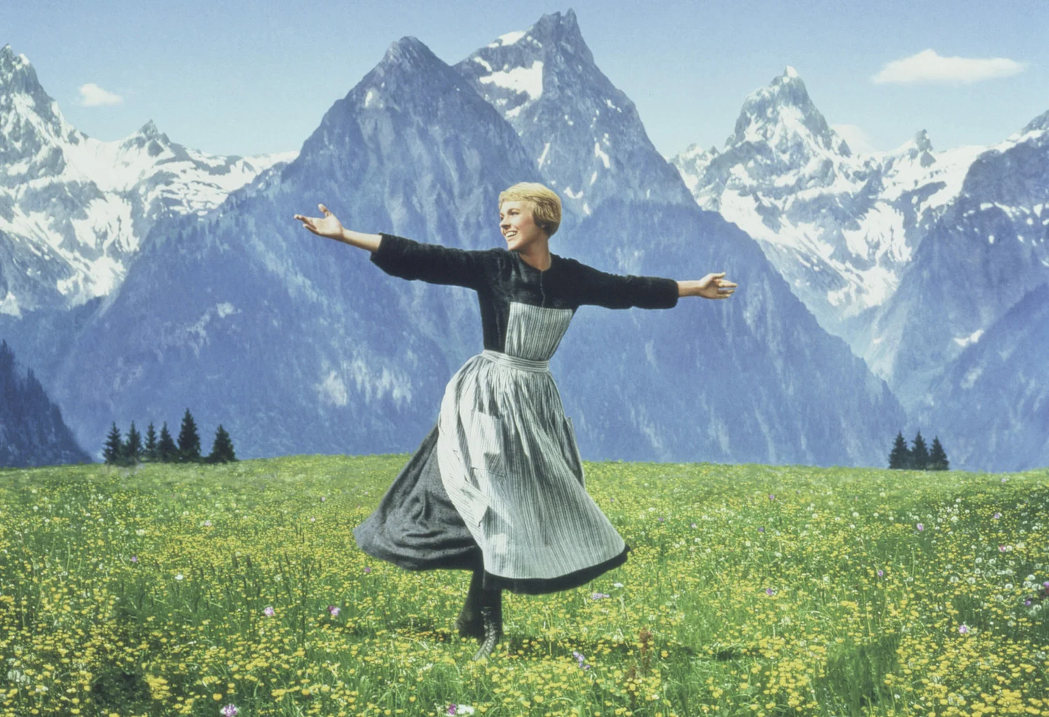 Julie Andrews in The Sound of Music