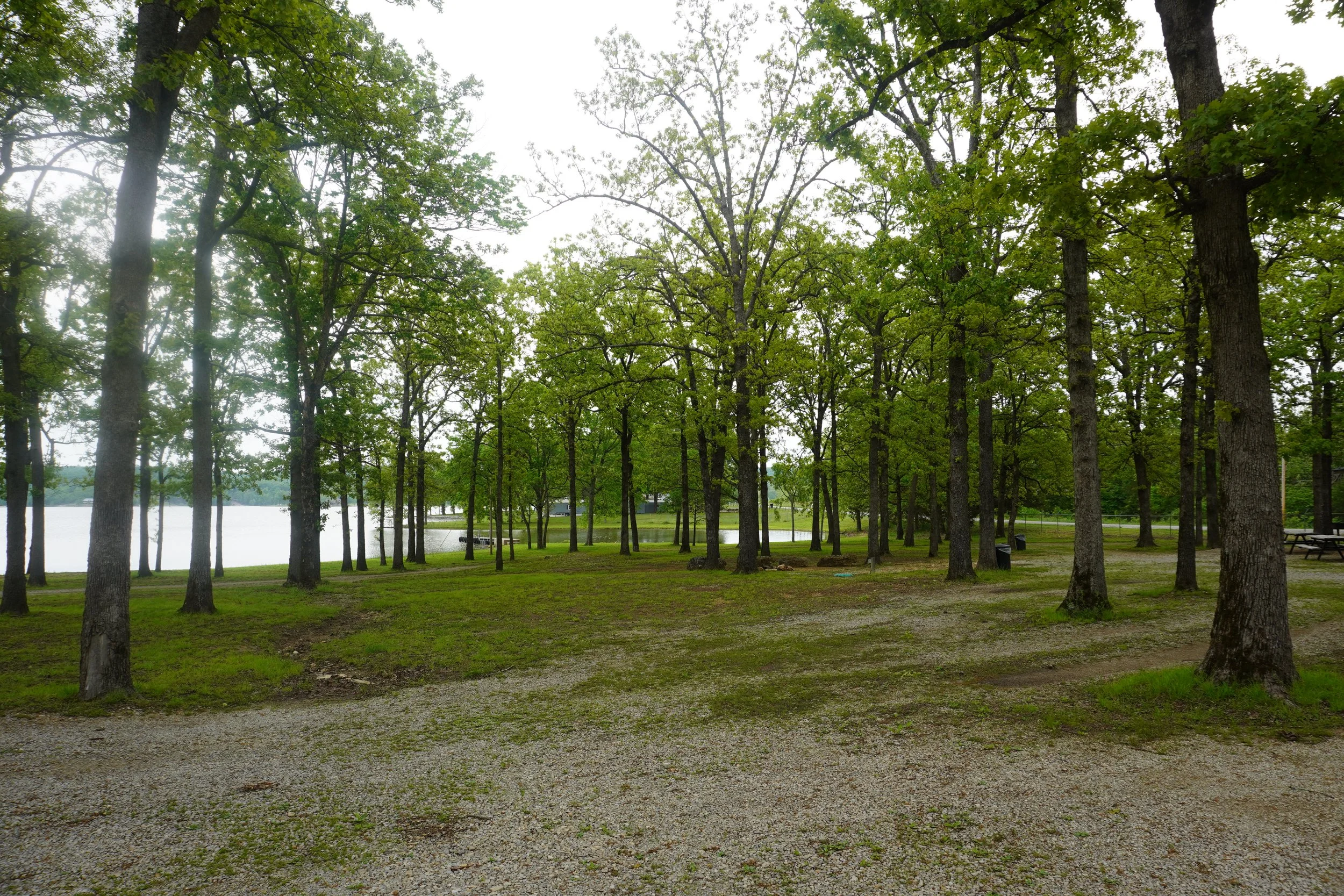 DSC07675.JPG
