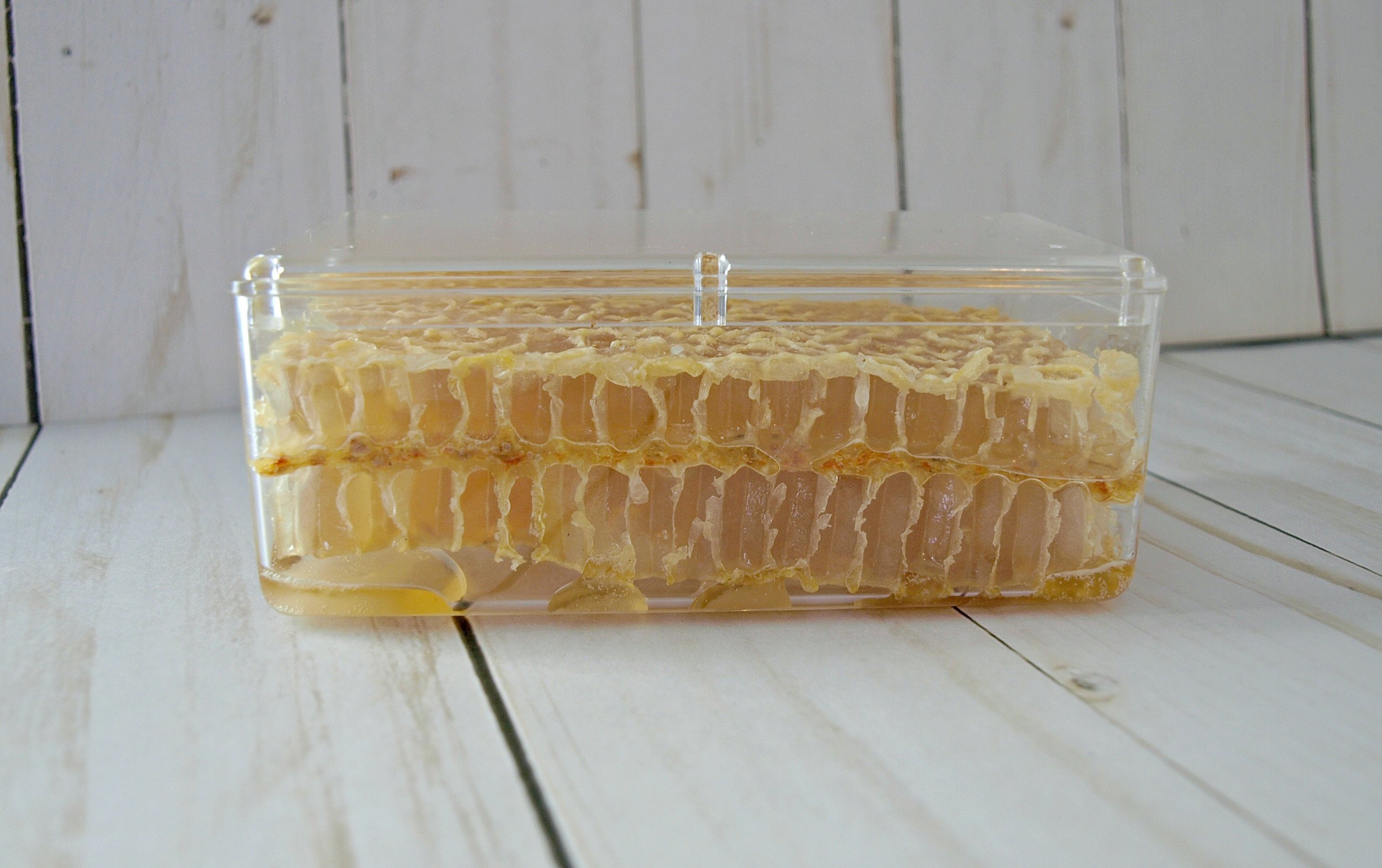 large comb honey 2.JPG