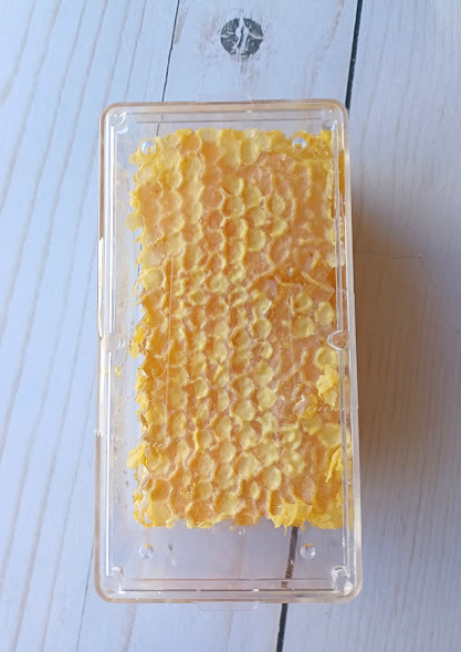 6ozcomb - Edited.png