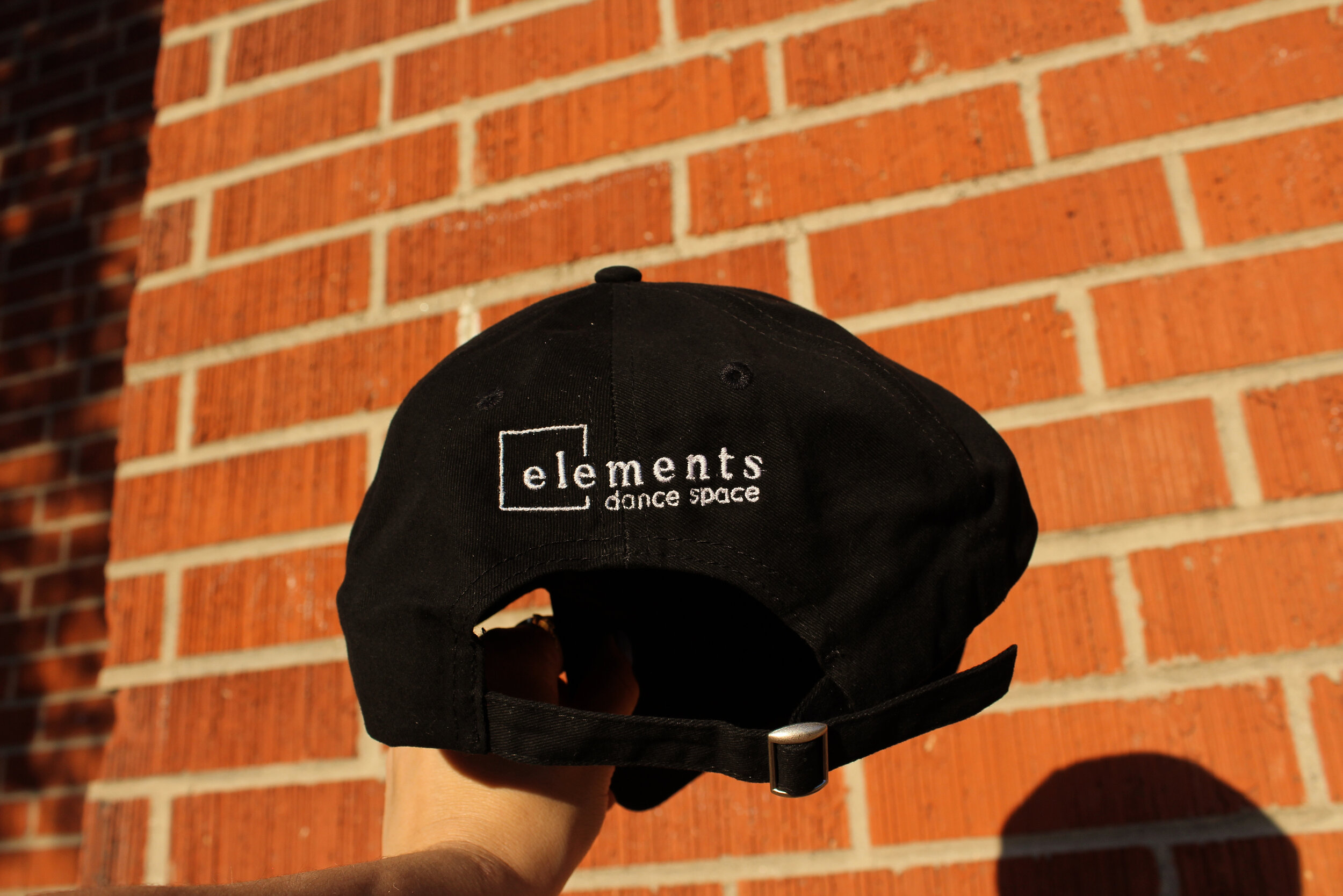 Black dad hat with Elements logo (back)