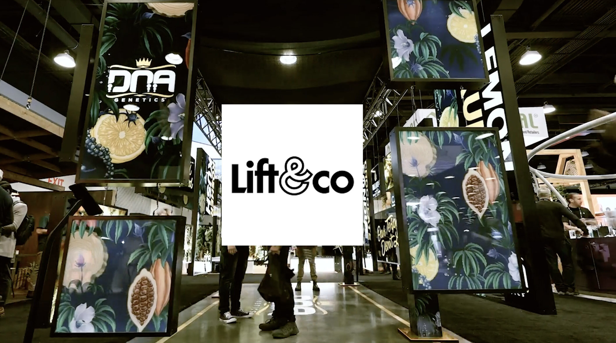 Lift and Co 2020