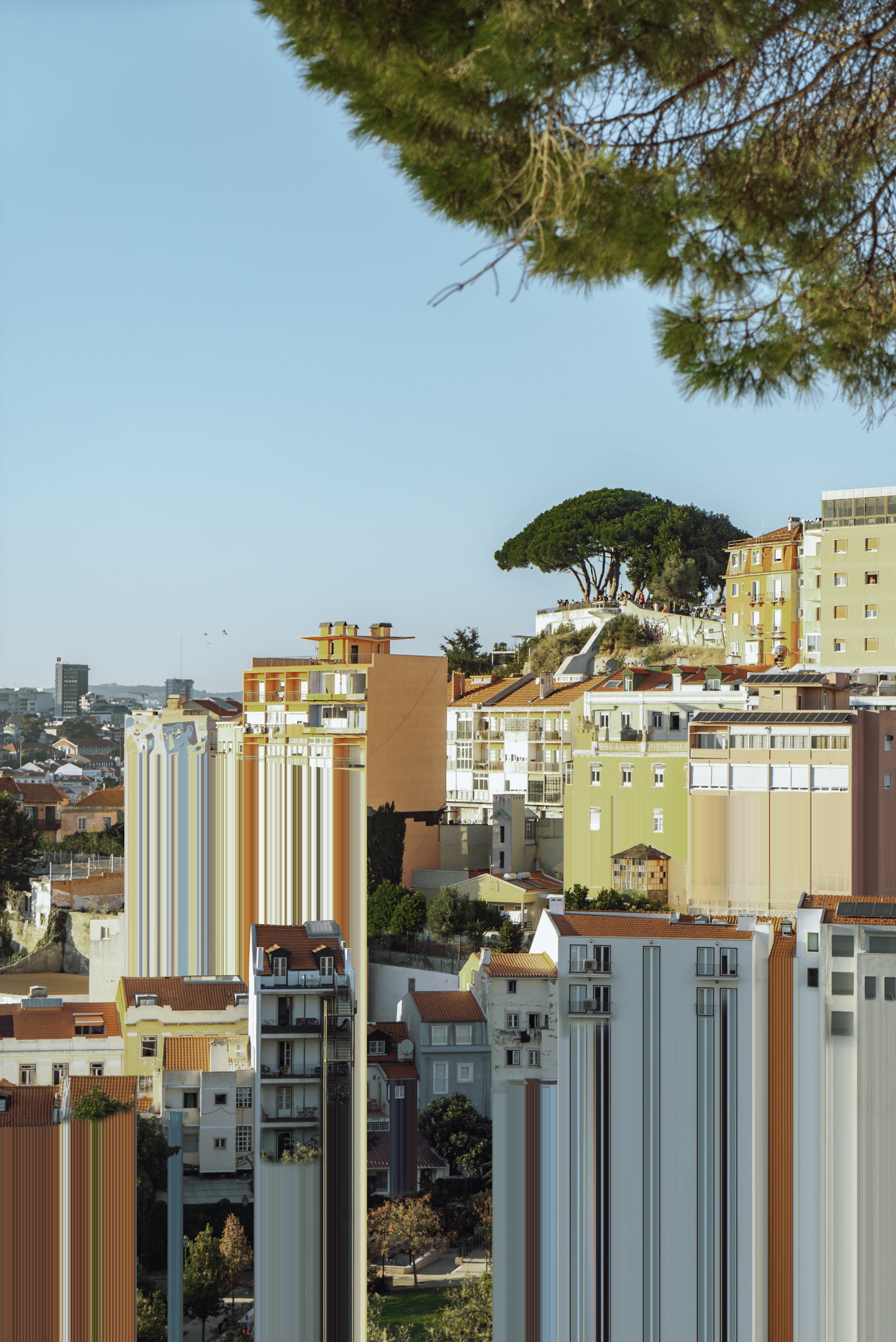 DSC09124-Edit copy.jpg