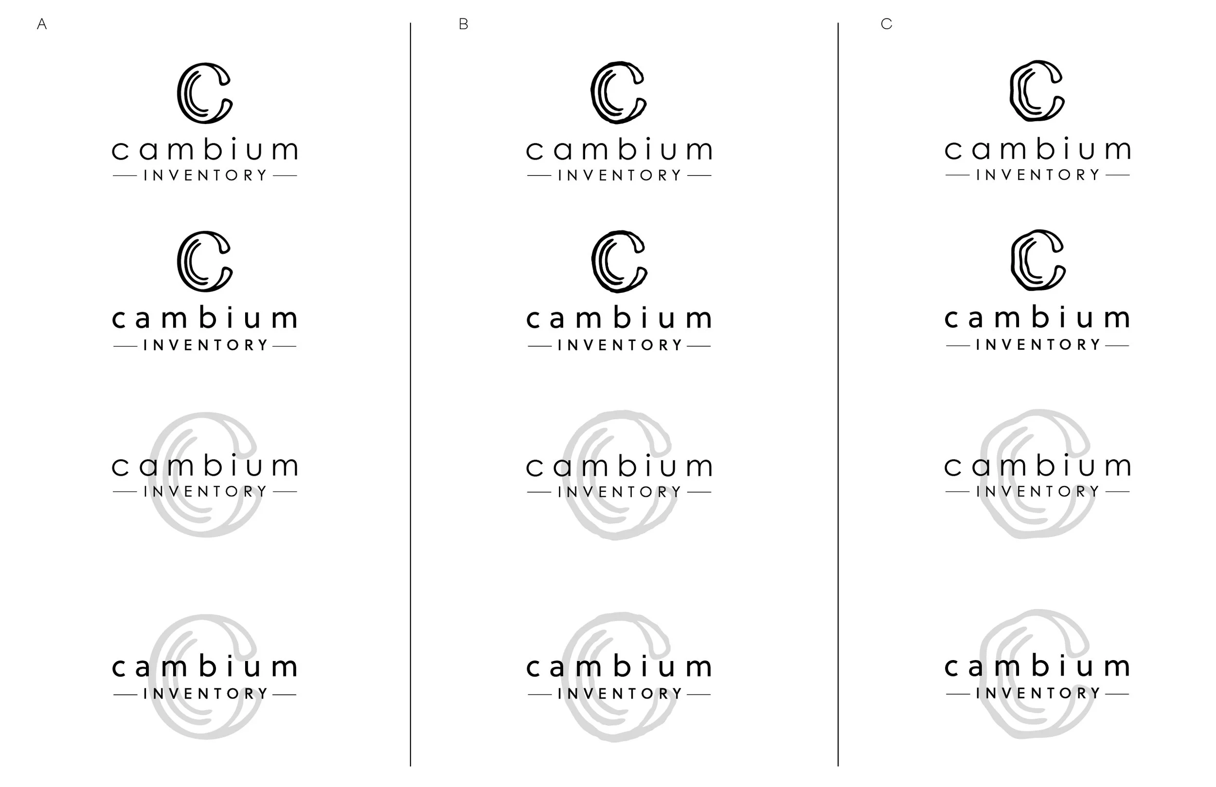logo_ideas_CI_2-01.jpg