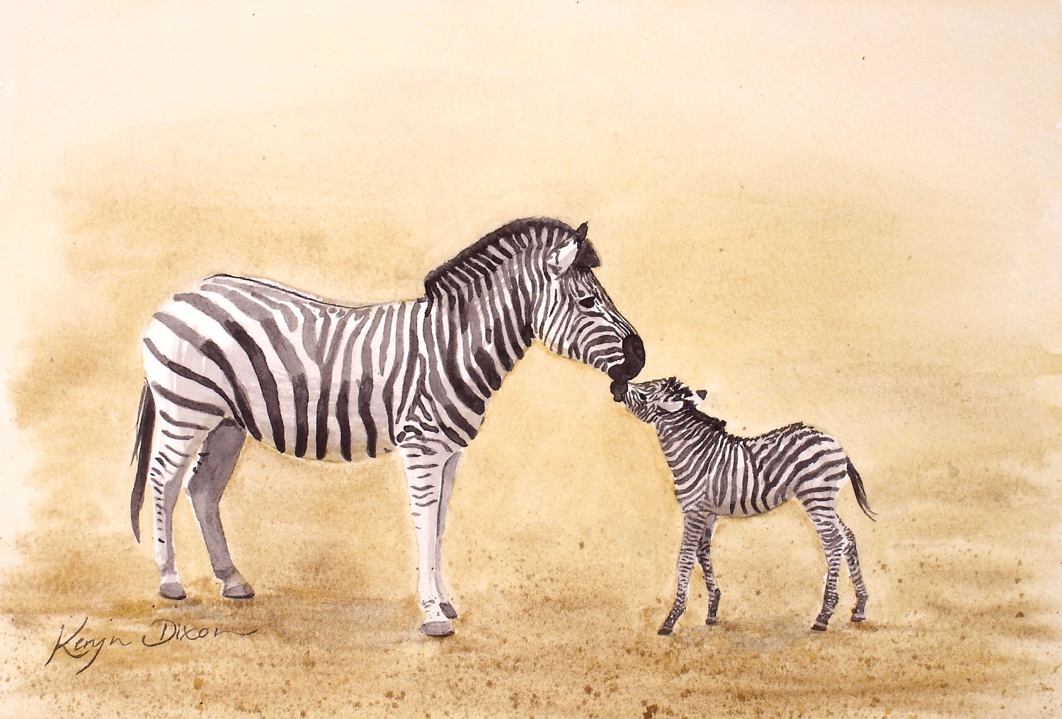 zebras2 print.jpg