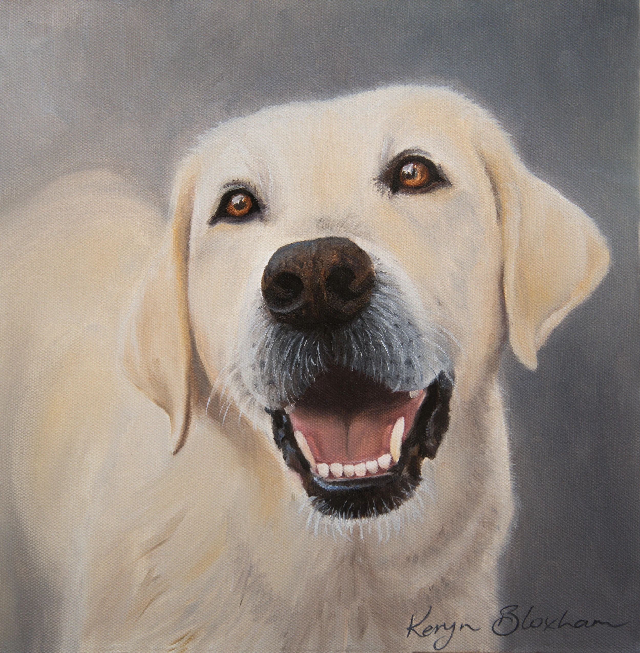 One of the pet portraits I have done lately