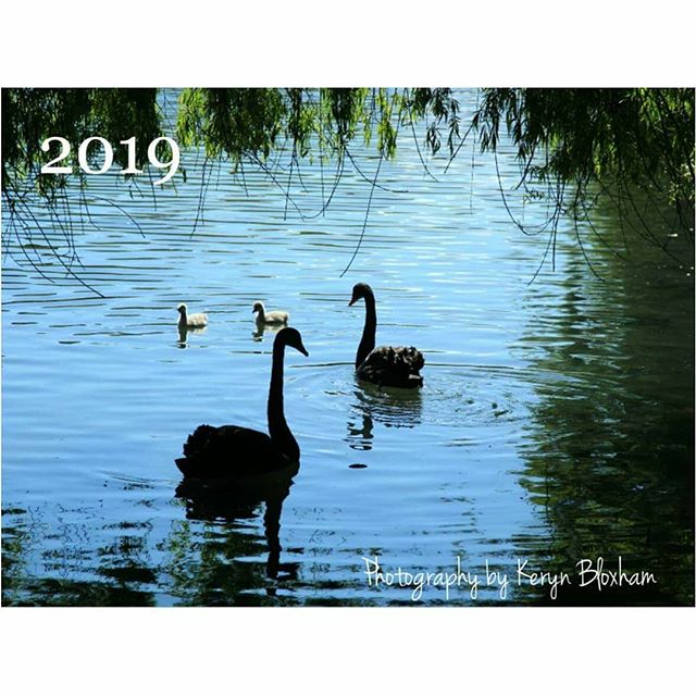 ⠀⠀⠀⠀⠀⠀⠀⠀⠀
2019 photography calendars are ready to print!⠀⠀⠀⠀⠀⠀⠀⠀⠀
Swipe to see the 12 images in the calendar.⠀⠀⠀⠀⠀⠀⠀⠀⠀
⠀⠀⠀⠀⠀⠀⠀⠀⠀
If you would like one, just comment and message me ☺
$30 each including postage in New Zealand.⠀⠀⠀⠀⠀⠀⠀⠀⠀
⠀⠀⠀⠀⠀⠀⠀⠀⠀
Check 