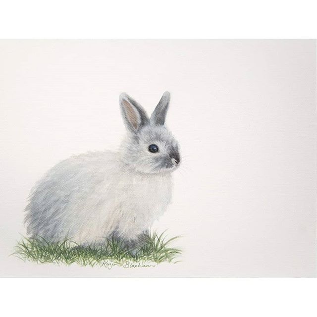 This is an oil painting that I did of my precious bunny that we called Belle.
⠀⠀⠀⠀⠀⠀⠀⠀⠀
My husband was the first one who saw her at a pet shop, and he knew I would react when I set eyes on her.  And I did... I immediately said, &quot;I want it!!&quot