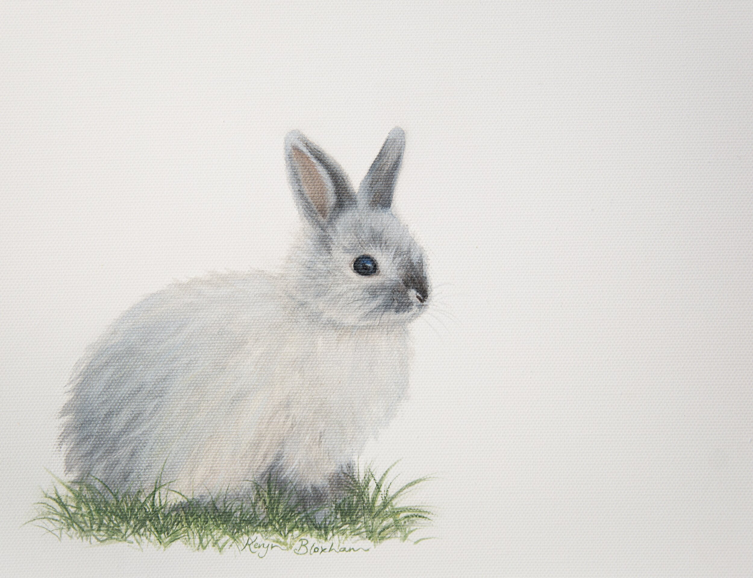 Belle bunny rabbit oil painting crop by Keryn Bloxham.jpg