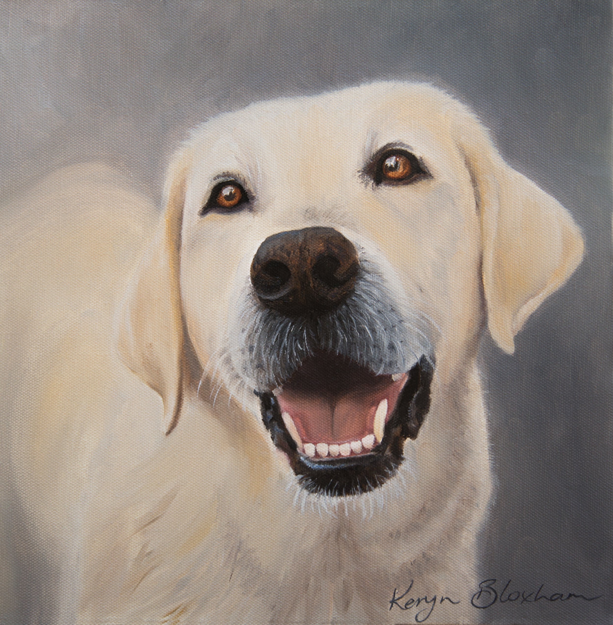 Dog portrait - Eve best to use.jpg