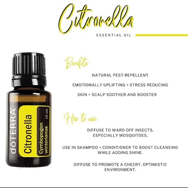 You thought citronella was just for bugs? Sure but it does so much more! 🌱 It is soothing to the skin and creates an uplifting atmosphere.
🌱Diffusing it supports normal healthy appetite (decreases it)
🌱helps support normal cholesterol levels
🌱sup