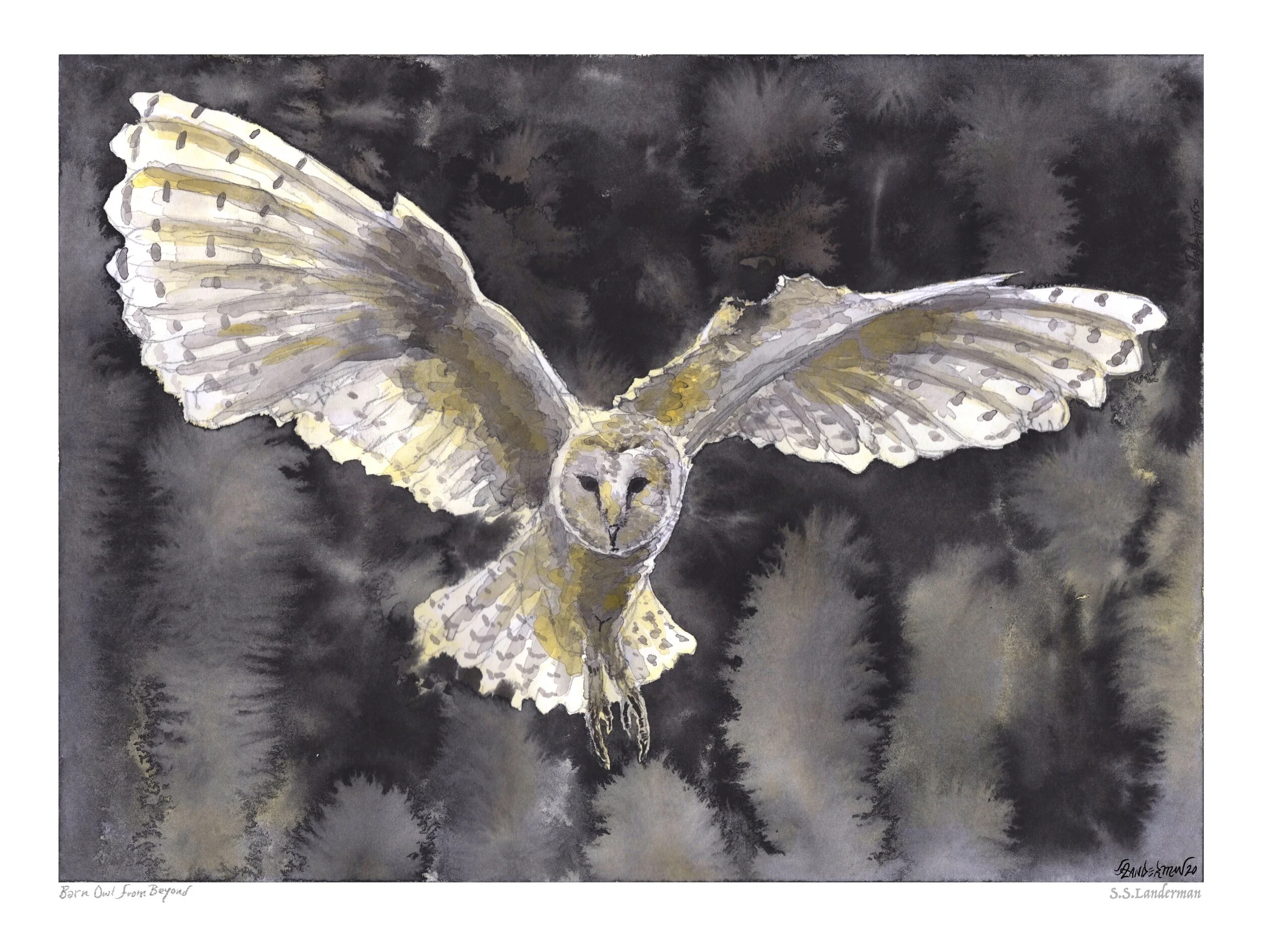 Barn Owl From Beyond {3 Sizes}