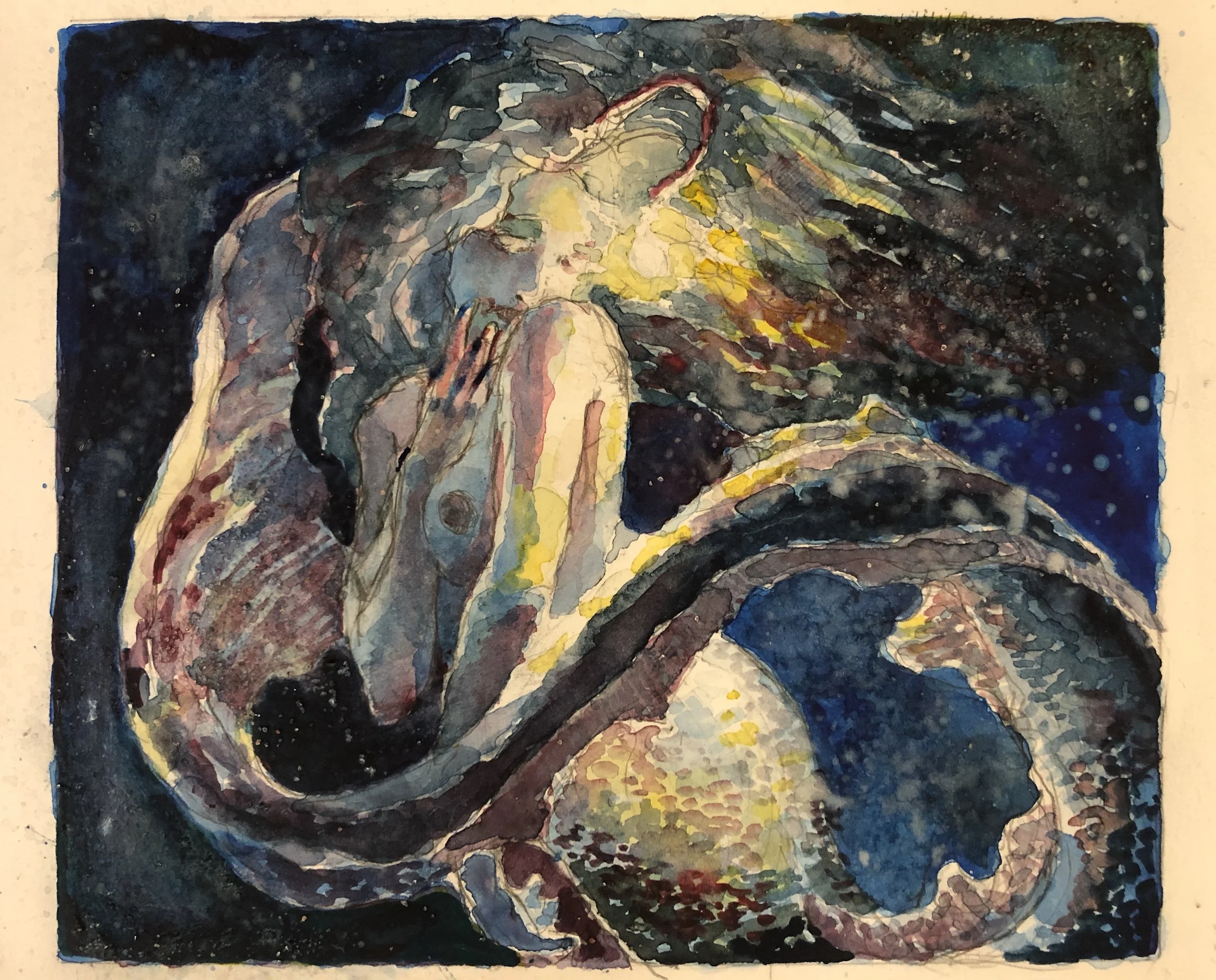 First Lantern Fish.JPG