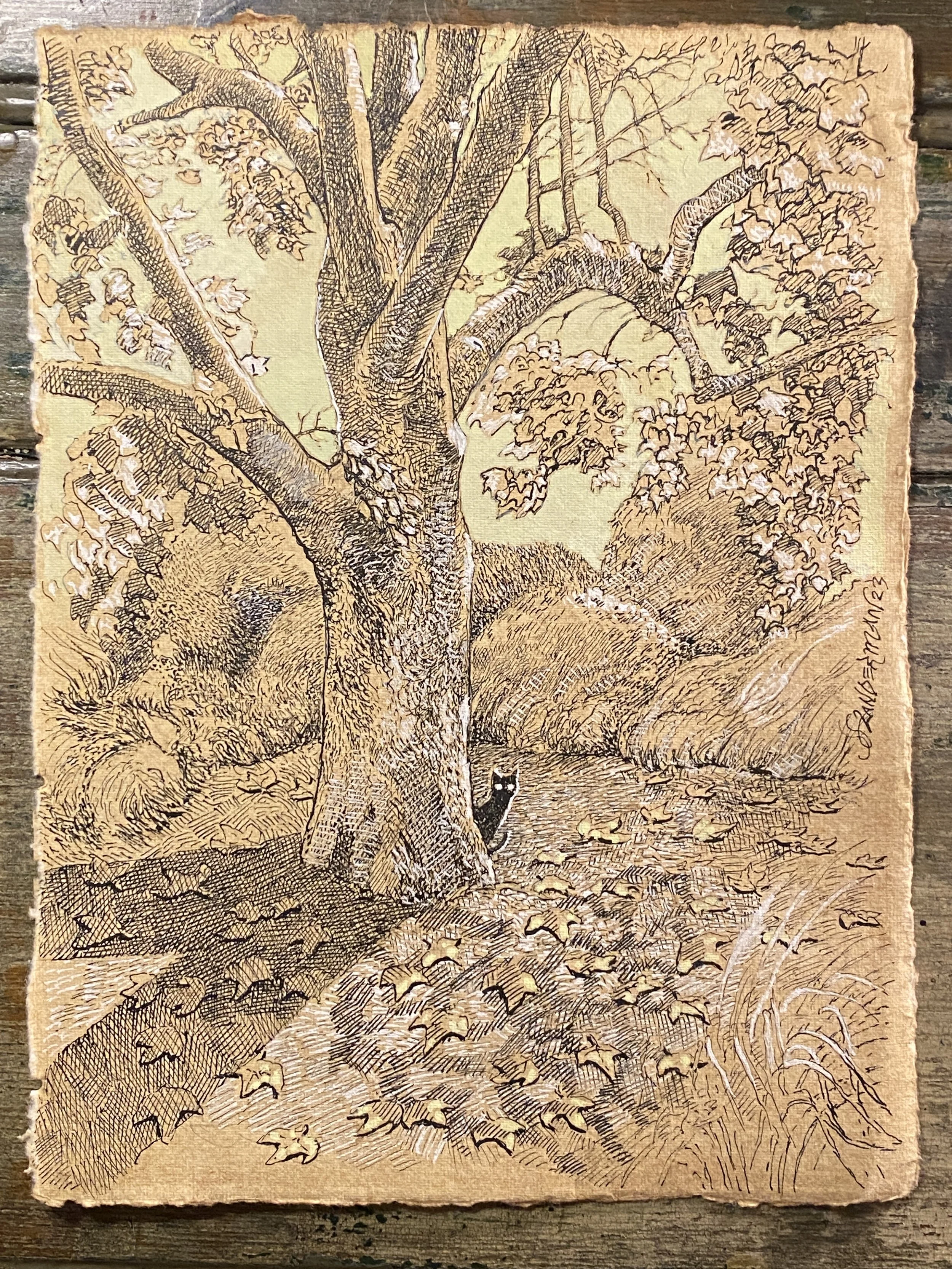 Sycamore Original.JPG