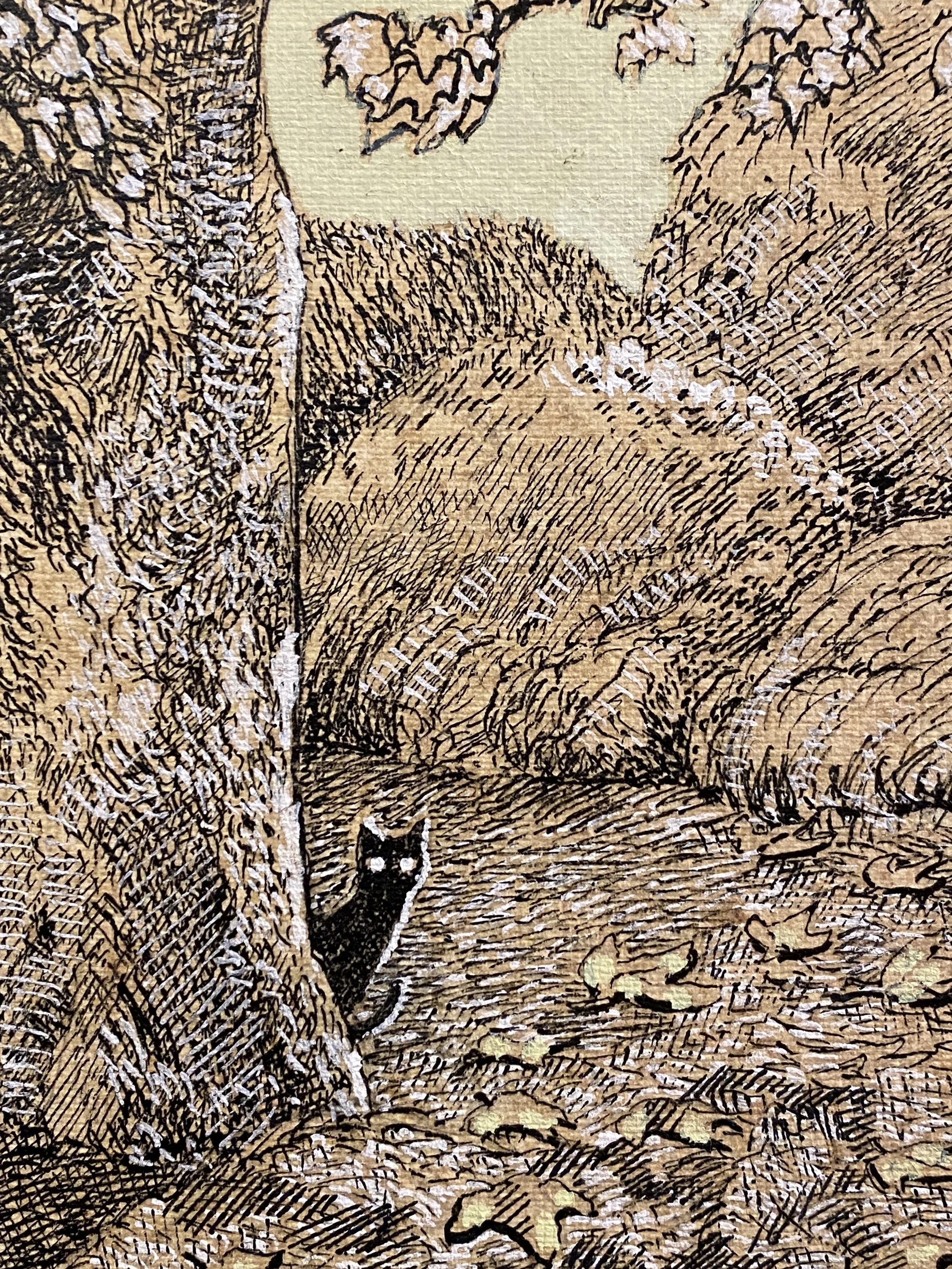 Sycamore crop 1.JPG