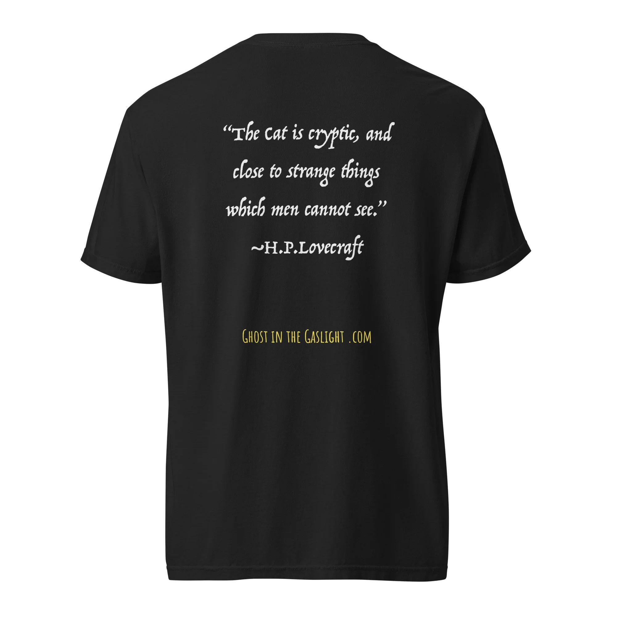 unisex-garment-dyed-heavyweight-t-shirt-black-back-6a9bc6dbab3fc.jpg