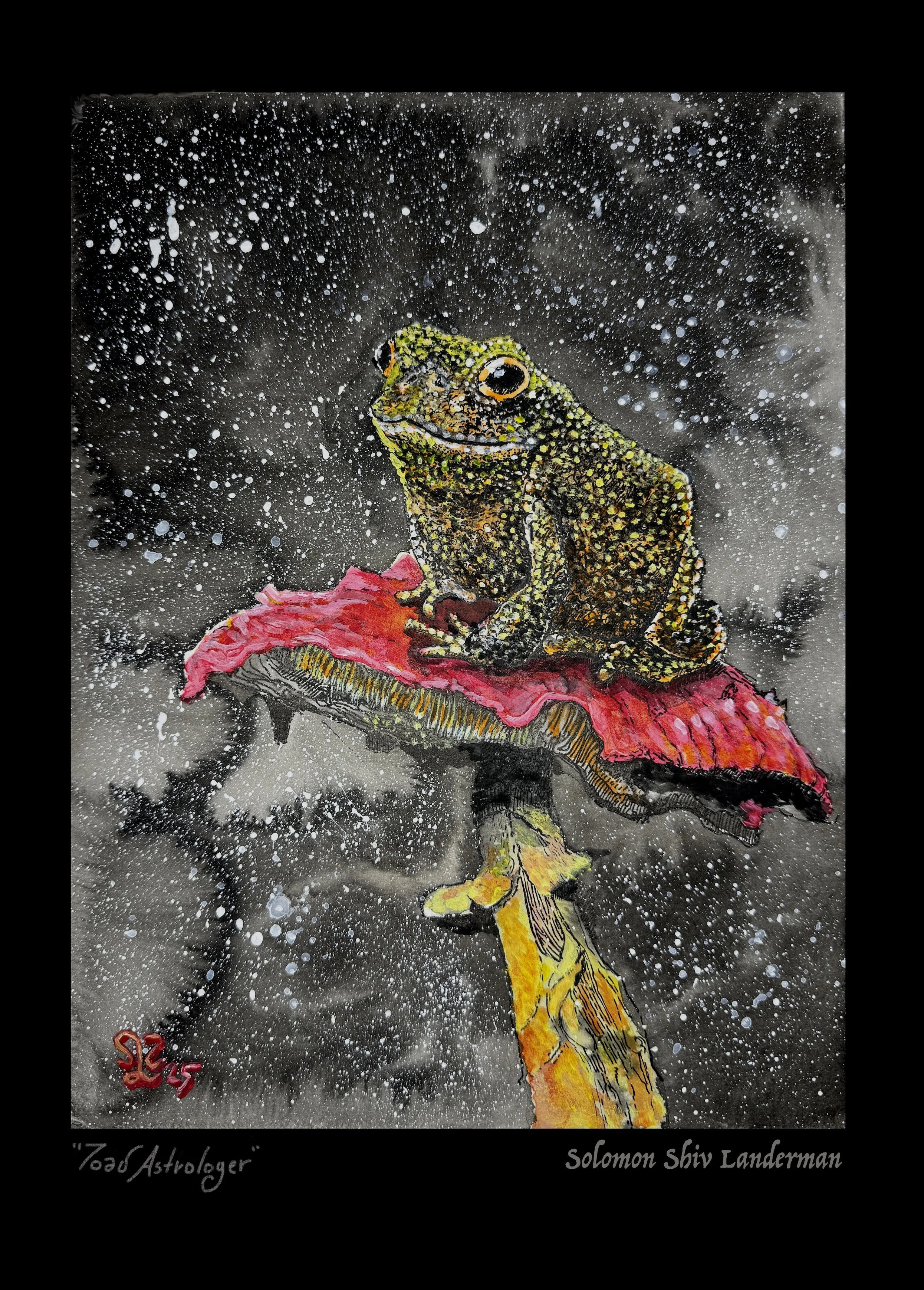 Toad_Astrologer CROPPED copy.jpeg
