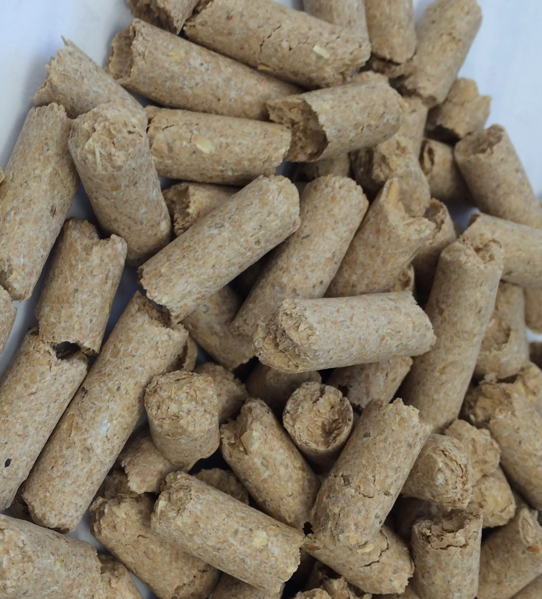 Biscuit meal, millrun, homing meal, rice pollard, groats, lucerne meal and pellets (dehydrated)