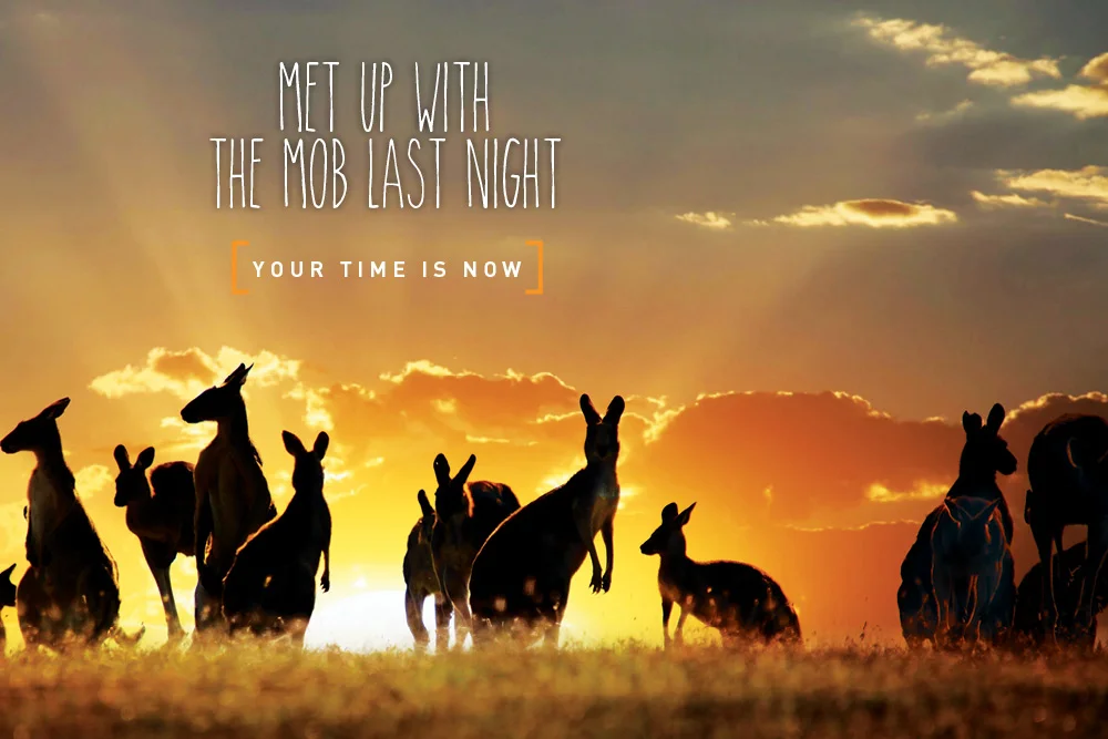 Concept Caravans - Creative Direction