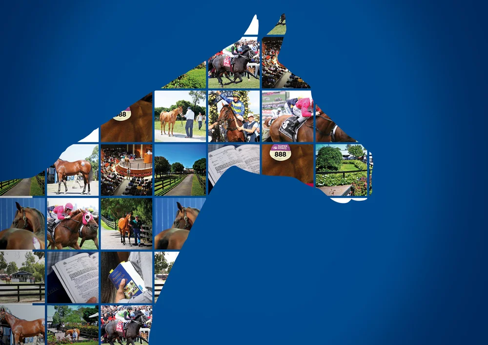 Inglis Advertising campaign creative direction graphic design