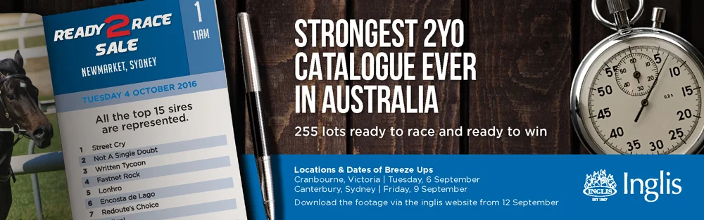 Inglis Advertising campaign creative direction graphic design