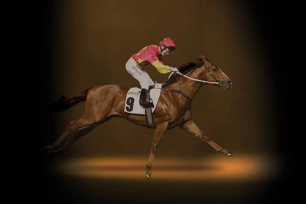 Inglis Advertising campaign creative direction graphic design