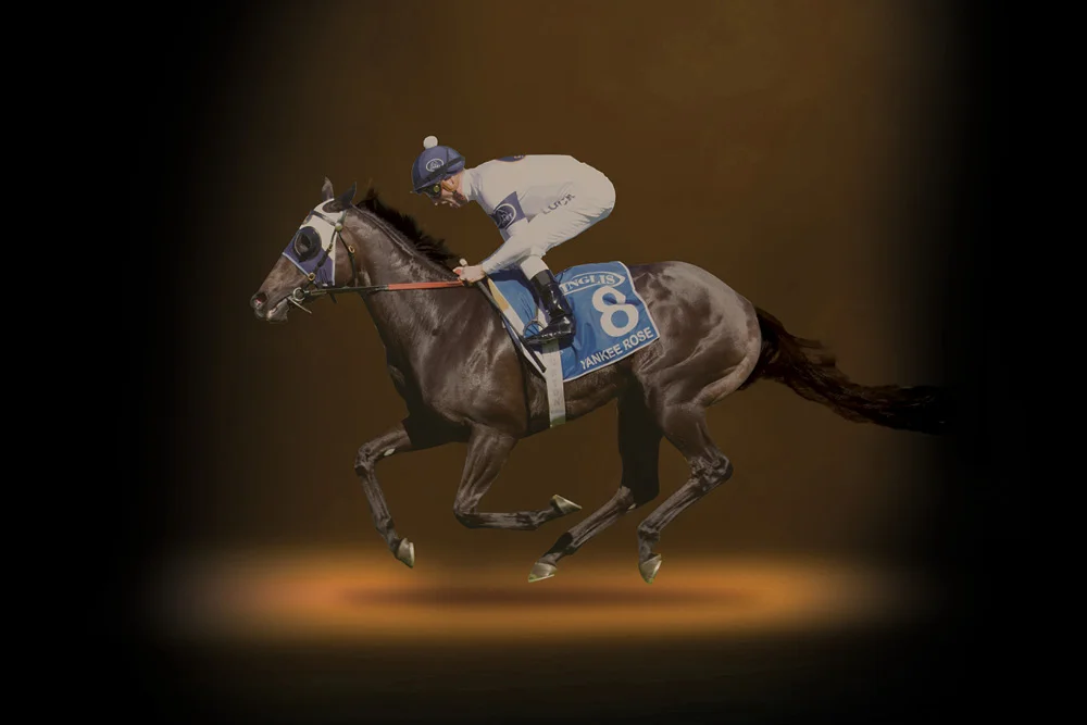 Inglis Advertising campaign creative direction graphic design